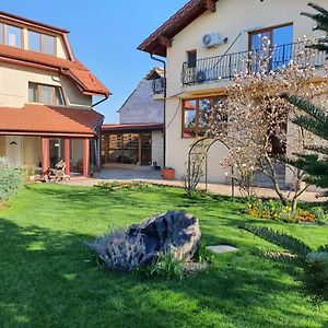 Casa Irinella Bed and Breakfast Satu Mare Exterior photo