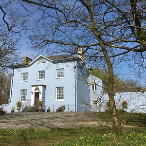 Crug Glas Country House Pension St. Davids  Exterior photo