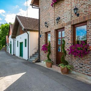 Podrumi Kolar "Suza Baranje" Pension Kneževi Vinogradi Exterior photo