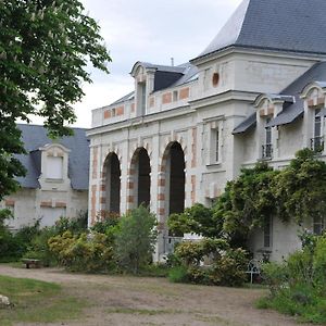 L'Orangerie Du Chateau - Le Nid - Gite 2 Personnes Brain-sur-Allonnes Exterior photo