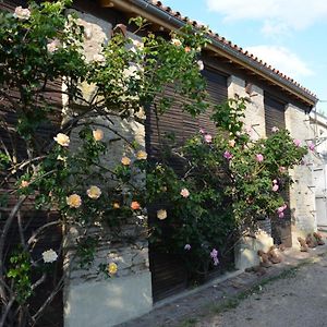 La Maison Des Herons Bed and Breakfast Le Vanneau-Irleau Exterior photo