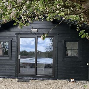 The Cosy Cabin By The Shore Appartement Galway Exterior photo