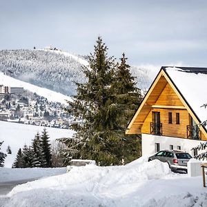 Ski Chalet Klinovec Appartement Loučná pod Klínovcem Exterior photo