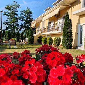 Sevi'S Luxury Guesthouse Villa Ioannina Exterior photo