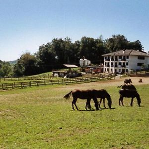 Favetto Family Ranch Bed and Breakfast Rueglio Exterior photo