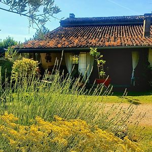 Le Clos De L'Amiral Bed and Breakfast Preguillac Exterior photo