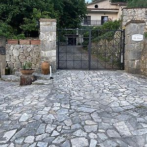 Villa Palmina Castelnuovo Parano Exterior photo