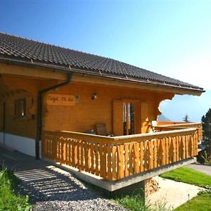 Chalet Forget Me Not Villa Gryon Exterior photo