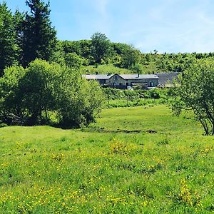 Ranch Du Haut-Languedoc Pension La Salvetat-sur-Agout Exterior photo