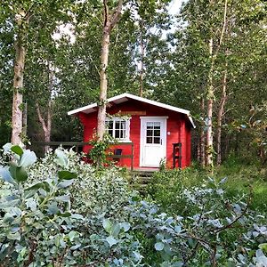 Bakkakot 3 Cozy Cabin In The Woods Appartement Akureyri Exterior photo