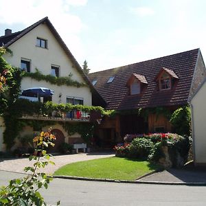 Apartment Weinbergglueck Ebringen Exterior photo