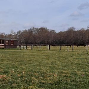 Unieke vriendenkamer met bedstedes tot 11 personen en 2 rustig gelegen chalets 2 en 4 persoons te huur! Augustinusga Exterior photo