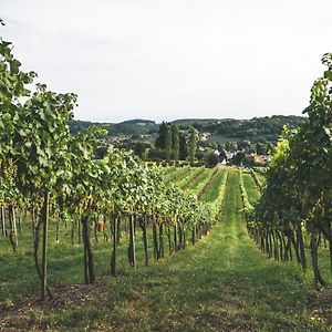 Wein & Gaestehof Erlacher Bed and Breakfast Hartmannsdorf Exterior photo