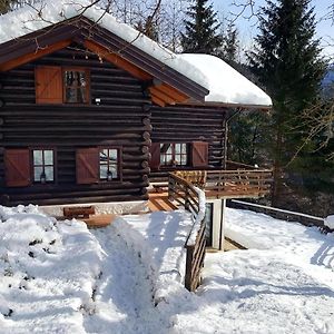 Chalet “In Dai Guriuz” Villa Paularo Exterior photo