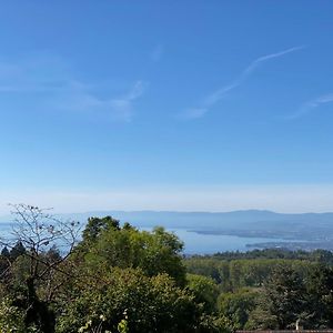 Petite Maison A L'Oree Des Bois Vue Magnifique Sur Le Lac Zenitude Et Plenitude Villa Belmont-sur-Lausanne Exterior photo