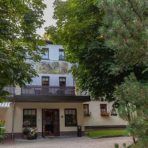 Waldgasthof&Hotel Am Sauwald Tannenberg Exterior photo