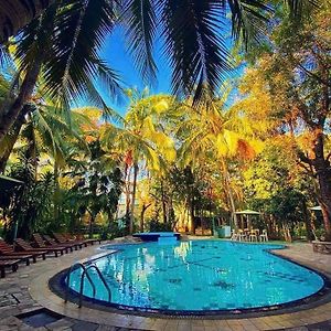 Hotel Eden Garden Sigiriya Exterior photo