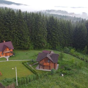 Sadyba Drymba Villa Skhidnytsia Exterior photo