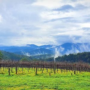 Kinam Vinea - A Vineyard Farmhouse In The Yarra Valley Villa Gladysdale Exterior photo