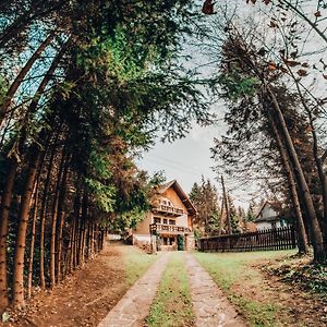 Domek Bogusza Villa Kamionka Wielka Exterior photo