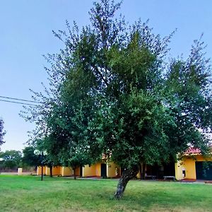 Nuraghe Ruiu Camping & Bungalow Villa Norbello Exterior photo