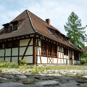 Schloss Hohenfels/ Gaestehaus Morgenrot Hotel Hohenfels  Exterior photo