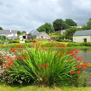 Polhilsa Farm Bed and Breakfast Callington Exterior photo