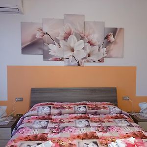 Quo Vadis Qui Vieni Bed and Breakfast Rovigo Exterior photo