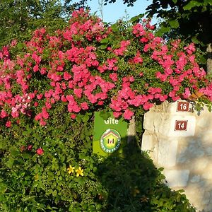 Gite Rural Charentais Villa Les Essards  Exterior photo