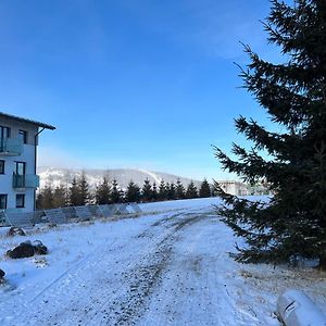 Utulny Jednopokojovy Apartman V Alpskem Stylu Na Klinovci Appartement Loučná pod Klínovcem Exterior photo