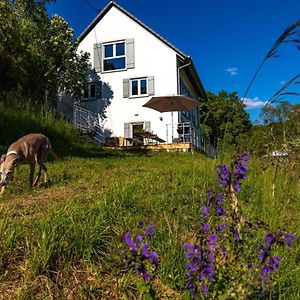 Freistehendes Ferienhaus Mit Kamin, Sauna, Atemberaubenden Blick Ins Tal, Mehrere Terrassen, 1500Qm Grundstueck 1,6M Hoch Eingezaeunt Villa Gerabronn Exterior photo