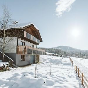 Mirnockahoi - Ferienhaus Fuer Bis Zu 6 Personen, Maritimes Bergerlebnis, Panoramablick Von Terasse Und Balkon, Carinthia, Millstaettersee Appartement Ferndorf Exterior photo