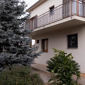 Can Patllari Villa Banyoles Exterior photo