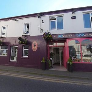 Ryan'S Daughter B&B Thurles Exterior photo