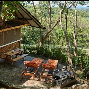 Casa Jungla- Cabana Natural Vista Al Mar Villa San José Pinilla Exterior photo