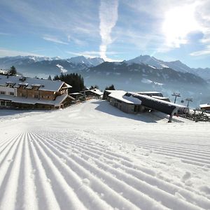 Elegant Chalet With Sauna In Mittersill Salzburg Appartement Hollersbach im Pinzgau Exterior photo