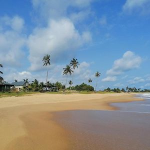 Afro Beach Eco Resort Butre Exterior photo