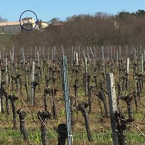 Superbe Gite A La Campagne Dans Le Bordelais Appartement Saint-Vivien-de-Blaye Exterior photo