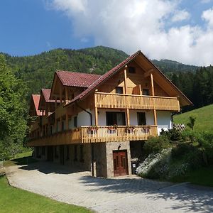 Turisticna Kmetija Zgornji Zavratnik Hotel Luče Exterior photo