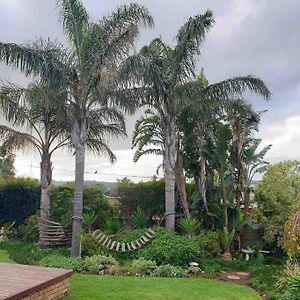 Open Living Family Home In The Winelands Kaapstad Exterior photo