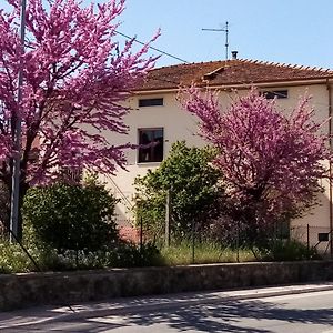 Bedandbiking Bed and Breakfast Cortona Exterior photo