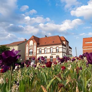 Pension Zur Alten Post Hotel Havelberg Exterior photo