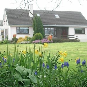 Glen na Smole Bed and Breakfast Wicklow Exterior photo