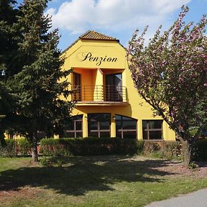 Leo - Penzion Hotel Jevišovice Exterior photo