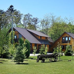 Cabana Paradisul Verde Neamt Villa Târgu Neamț Exterior photo