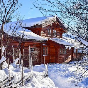 Nice home in Hovden i Setesdal with 5 Bedrooms, Sauna&WiFi Exterior photo