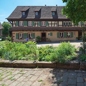 Au Fil Du Temps Bed and Breakfast Imbsheim Exterior photo