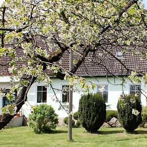 Pension Gestuet Lindenhof Hotel Templin Exterior photo