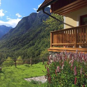 Zadnjica Holiday House Villa Soča Exterior photo