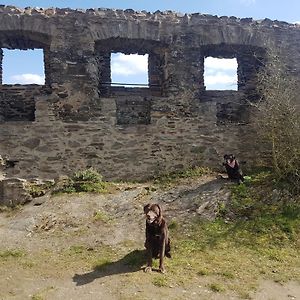 Ferienhaus Leopold Mit Burgblick An Der Mosel Appartement Burgen  Exterior photo